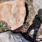 Knowledge Isn’t Valuable