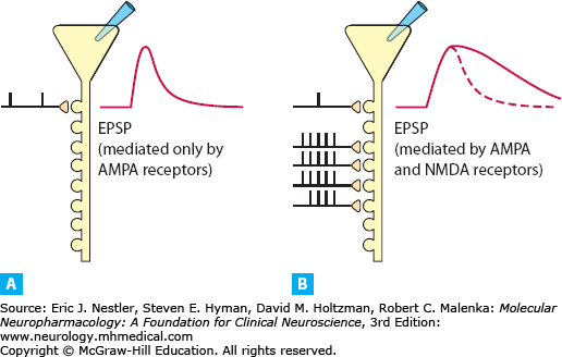 epsp ampanmda