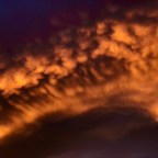 Adaptive Radiation: Beyond Evolution