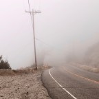 A Twisted Mystery: Dynorphin and Cognition