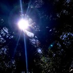 Synesthetic Building Blocks