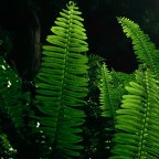 Motivation and Risk Assessment